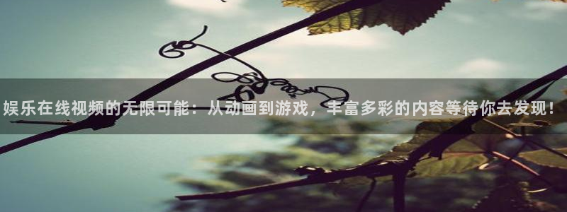 门徒平台登录注册：娱乐在线视频的无限可能：从动画到游戏，丰富多彩的内容等待你去发现！