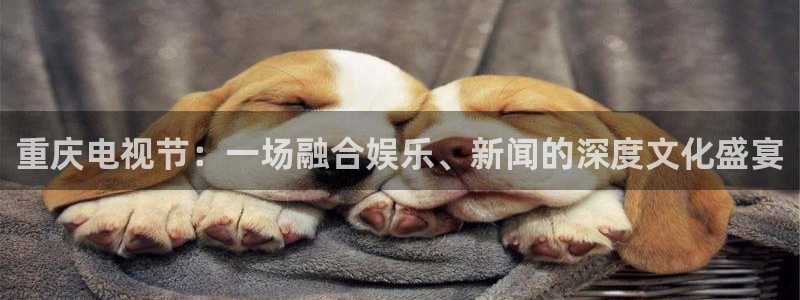 门徒娱乐官网：重庆电视节：一场融合娱乐、新闻的深度文化盛宴