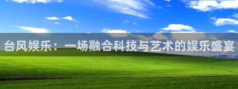 门徒平台注册登录：台风娱乐：一场融合科技与艺术的娱乐盛宴