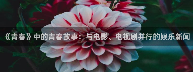 门徒娱乐官网首页：《青春》中的青春故事：与电影、电视剧并行的娱乐新闻