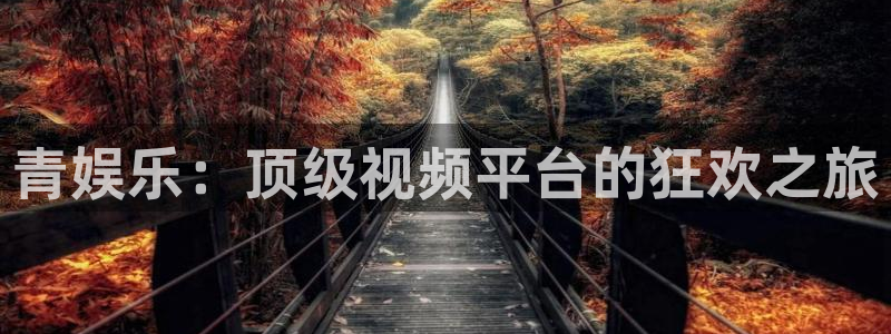 门徒平台注册登录：青娱乐：顶级视频平台的狂欢之旅