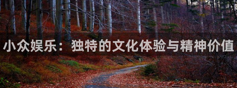 门徒娱乐登陆官网：小众娱乐：独特的文化体验与精神价值